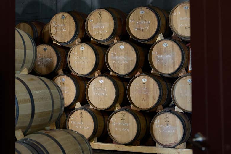 Sala de barricas de las bodegas César Príncipe