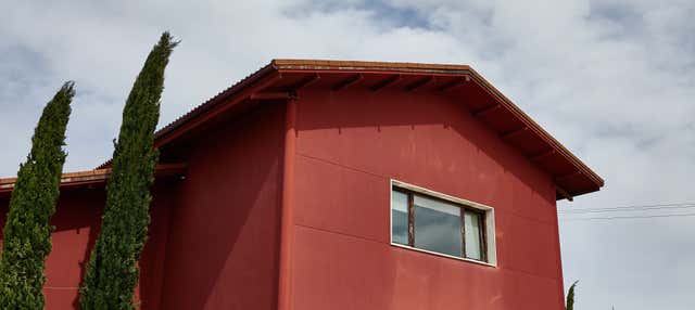 Visita às vinícolas César Príncipe