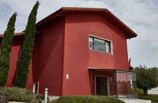 Visita a las bodegas César Príncipe