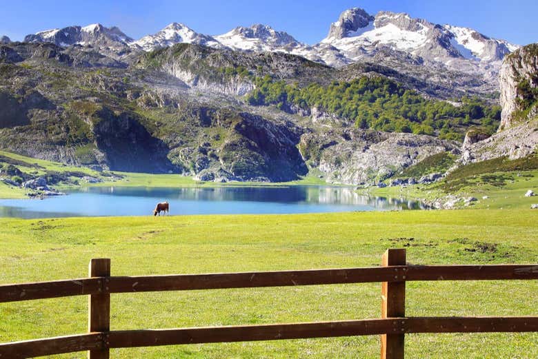 Parque nacional dos Picos da Europa