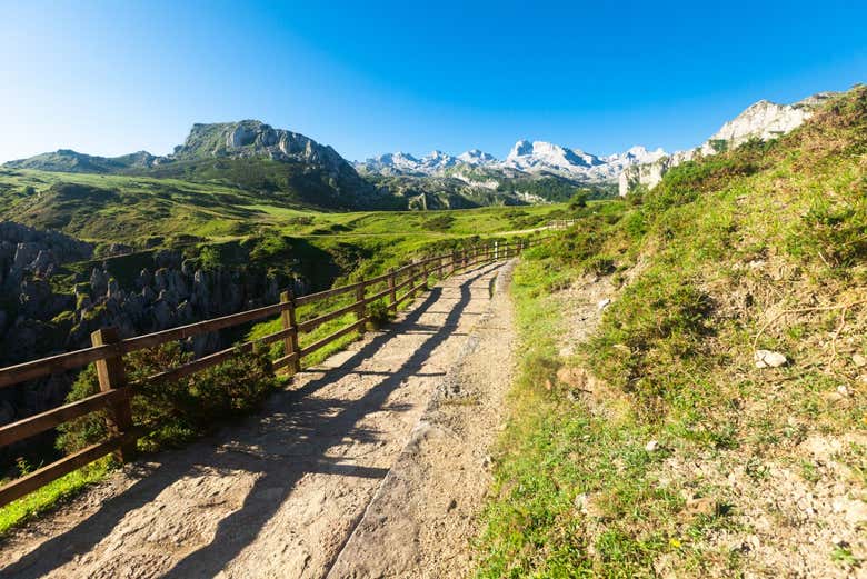 Paseo por los Picos de Europa