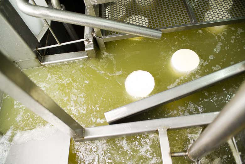 Découvrez tous les secrets du fromage