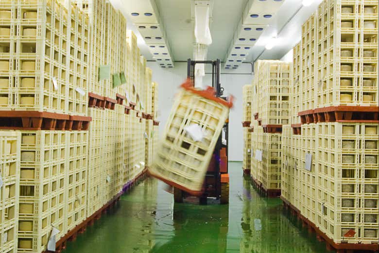 Parcourez les différentes instalations de la fromagerie