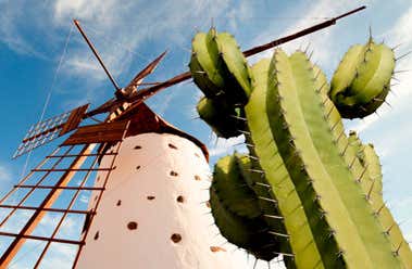 Fuerteventura