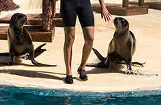 Oasis Wildlife Fuerteventura