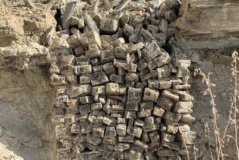 Descubriendo la mina