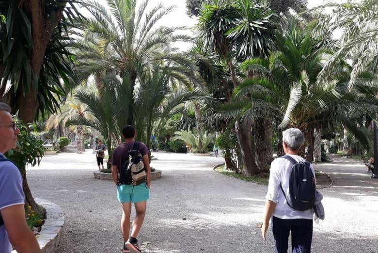 Esploreremo il palmeto di Elche