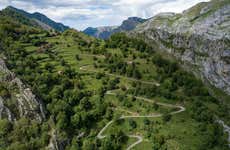 Ponga Nature Park Day Trip