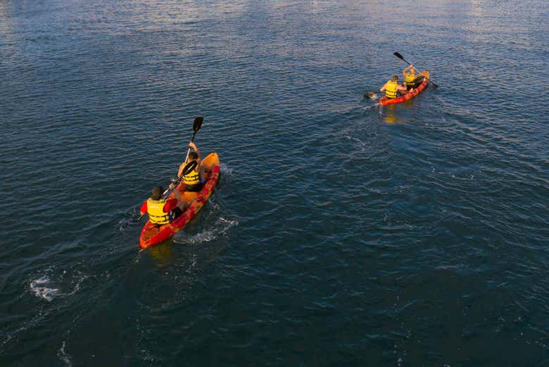 Location de kayak à Gijón 
