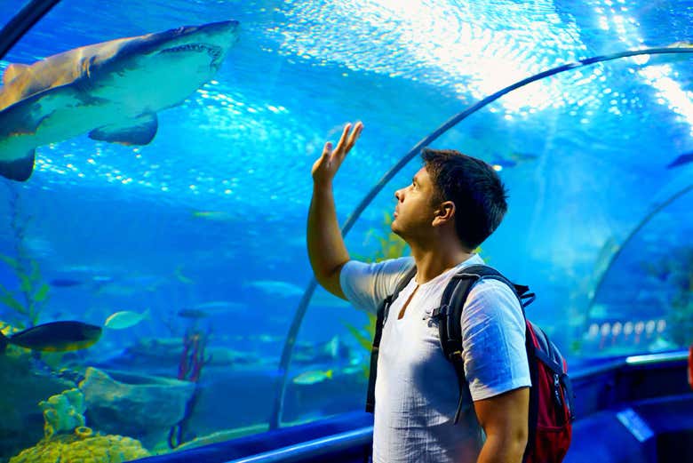 Having fun at Gijon Aquarium