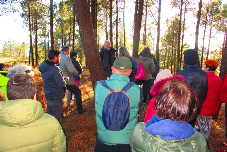 Grupo escuchando las explicaciones del guía