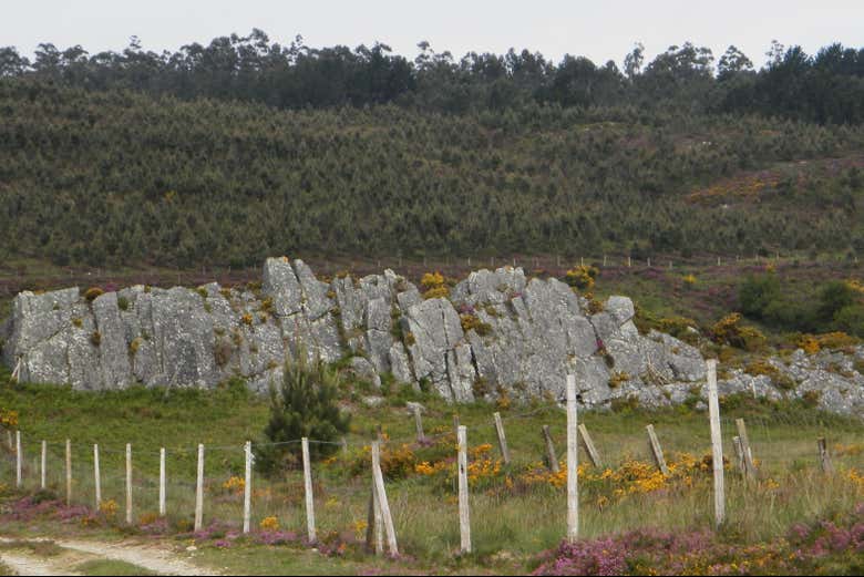 Paisaje del valle Miñor