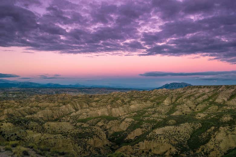 Admirando las vistas del desierto