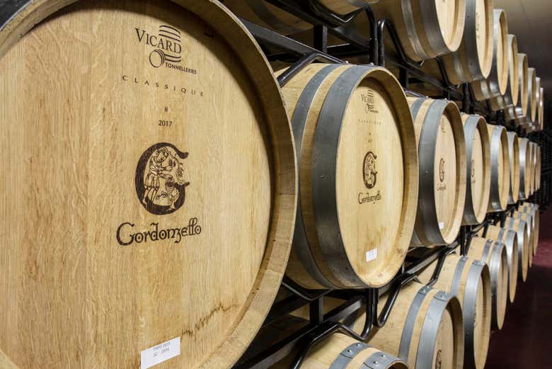 Barrels from the Gordonzello cellar
