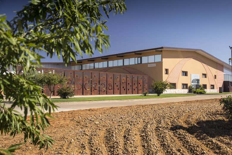 Bodega Gordonzello en Gordoncillo, León