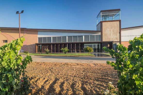 Visita a la bodega Gordonzello