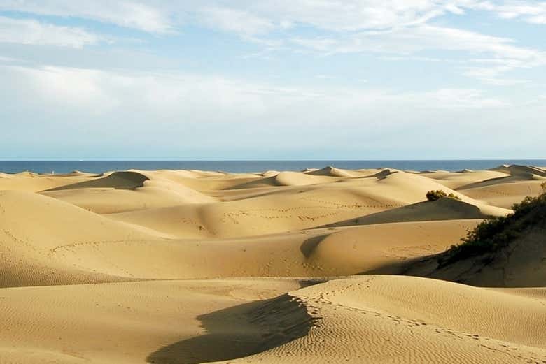 Dunas de Maspalomas