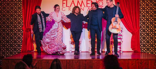 Flamenco Show at Palacio Flamenco