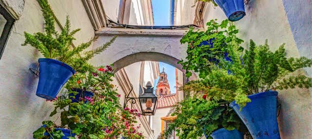 Cordoba Day Trip