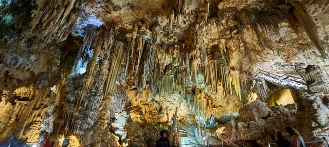 Excursión a la Costa Tropical y la Cueva de Nerja
