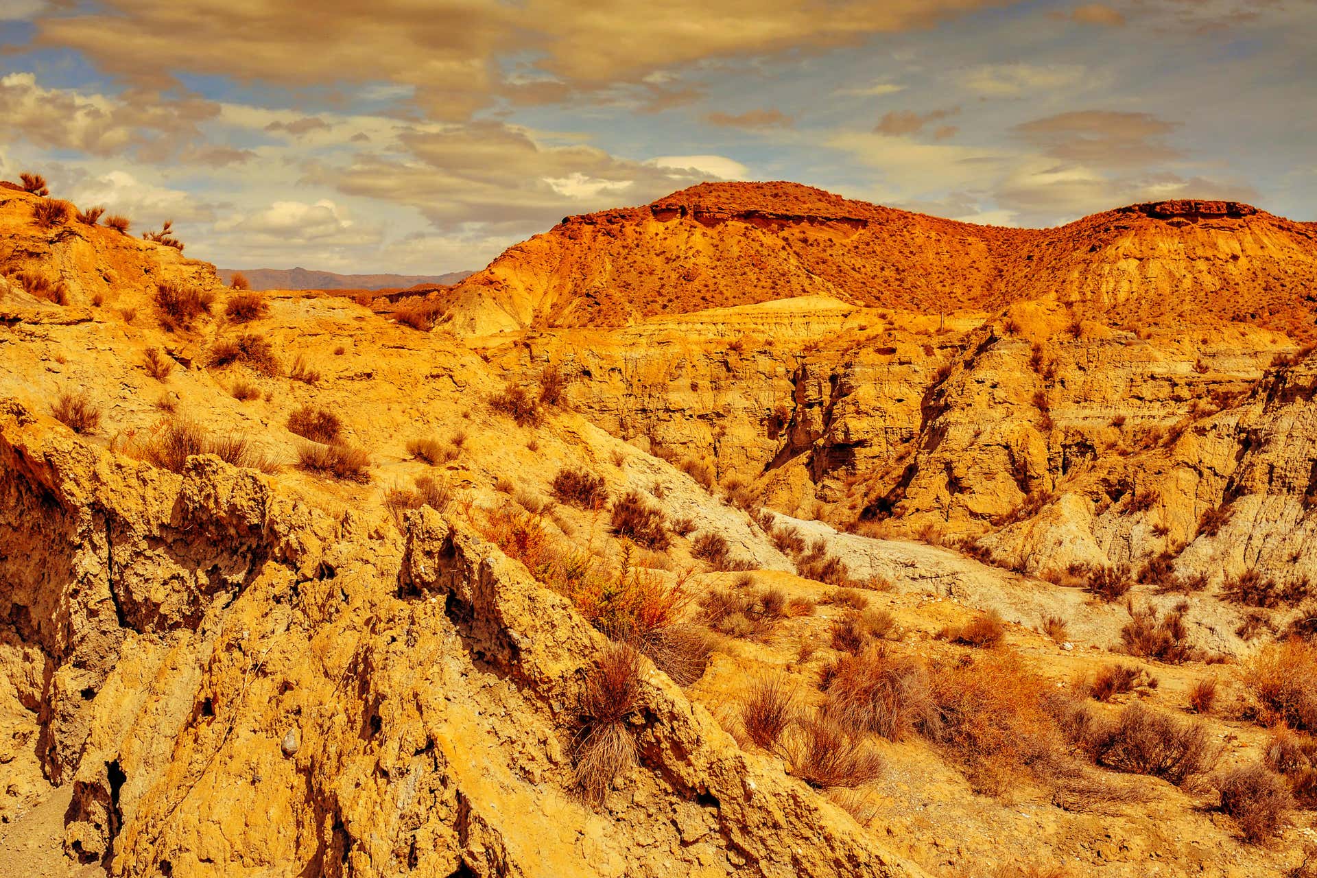 Excursión al desierto de Tabernas y Fort Bravo