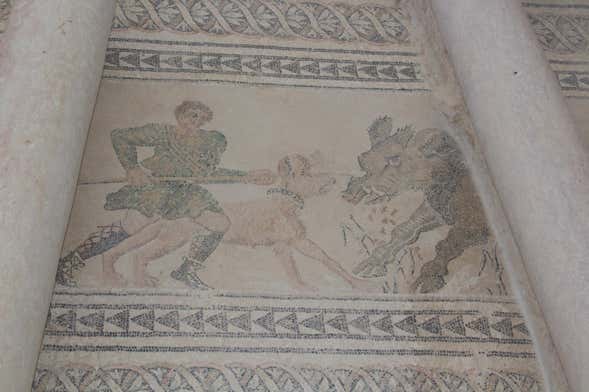 Roman Villa of Salar Day Trip