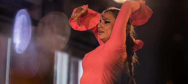 Flamenco dans l'Albaicín : Jardines de Zoraya