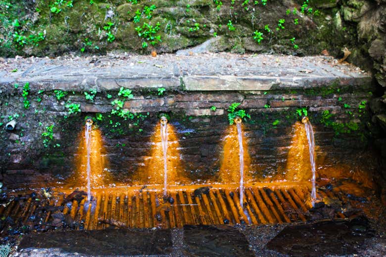 La source Fuente Agria