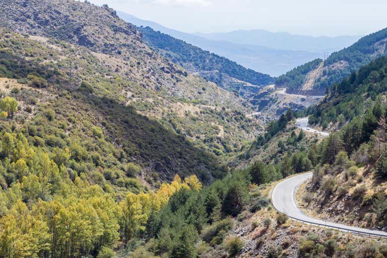 Paisaje de Sierra Nevada