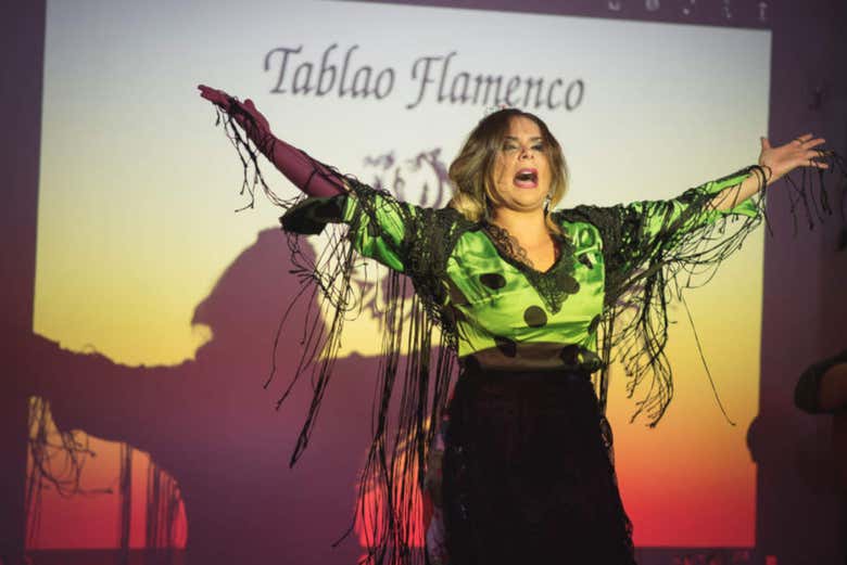 Espectáculo flamenco en Los Amayas