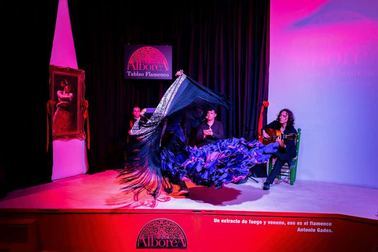 See amazing flamenco performers!