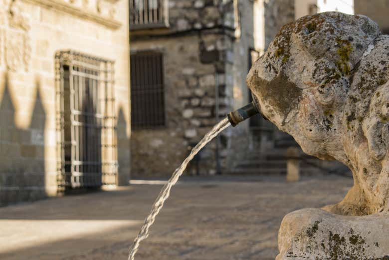 Fuente de los Leones