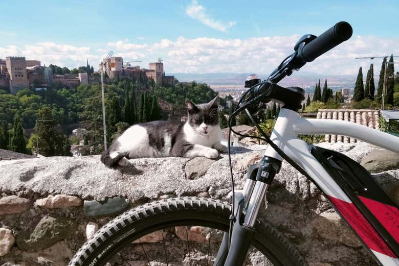 Conectando con Granada a golpe de pedal