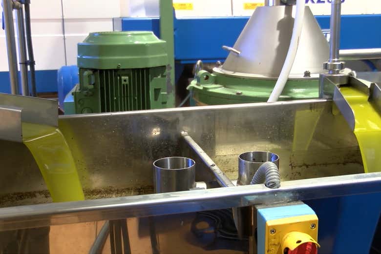 La maquinaria que procesa el aceite de oliva
