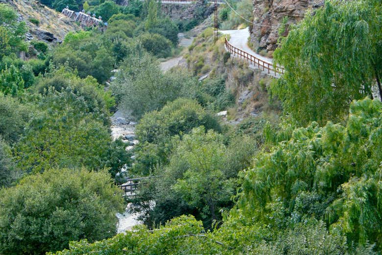 Durante la ruta de senderismo