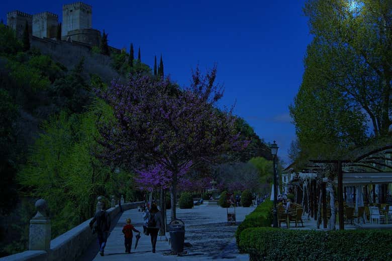 Paseo de los Tristes por la noche