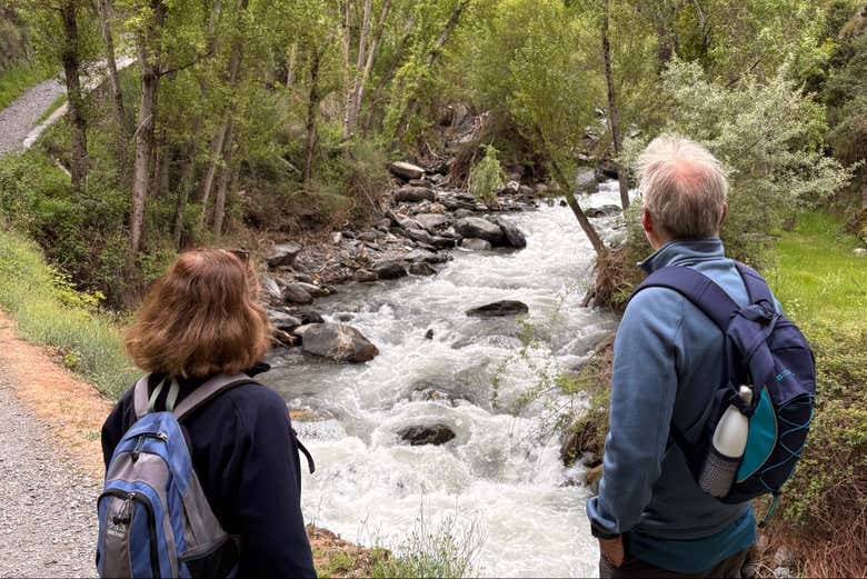Veréis caudalosos riachuelos durante la ruta