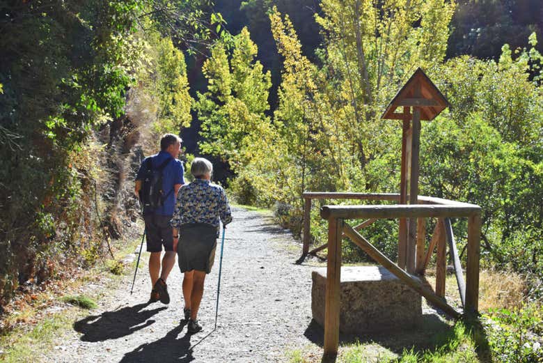 Senderismo en la Vía Verde del Tranvía