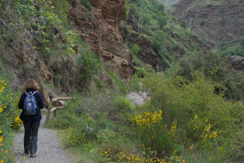 Disfrutando de la ruta de senderismo