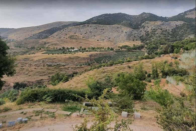 Vega Lorquiana