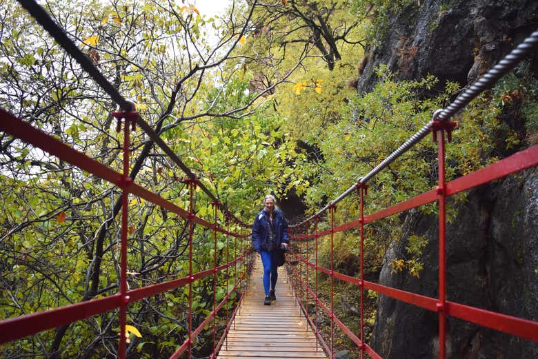 Puente colgante