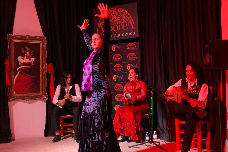 Show flamenco en La Alboreá