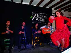Espectáculo de flamenco