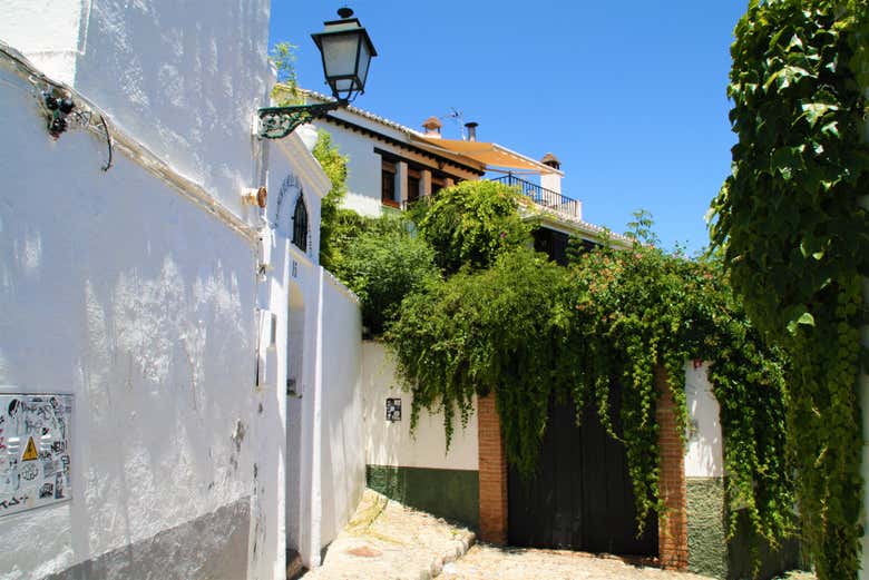 Disfrutando del tour por los cármenes de Granada