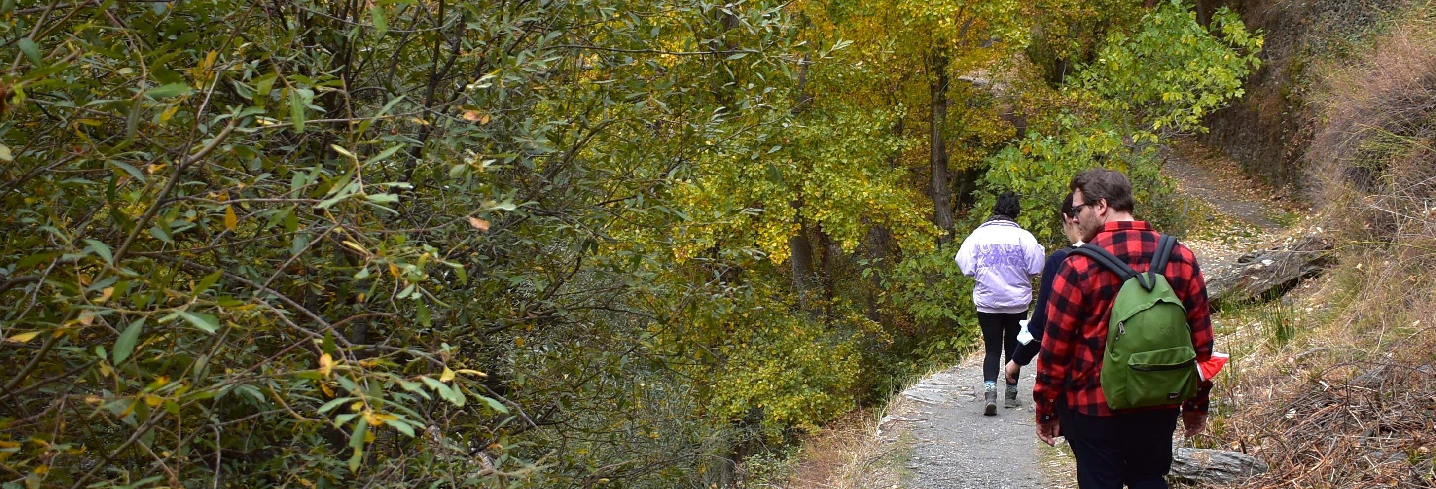 Senderismo / Trekking en Granada