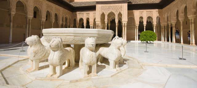 Visite de l'Alhambra et des Palais Nasrides