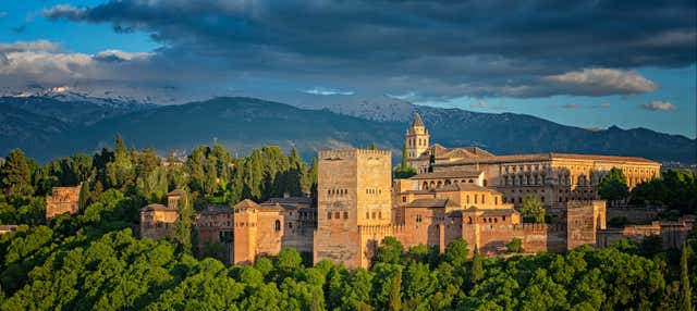 Visite privée de l'Alhambra et des palais Nasrides