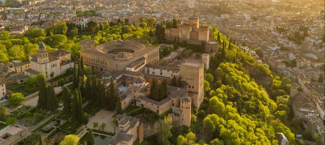 Visita guiada pela Alhambra e aos Palácios Nasridas + Granada City Pass