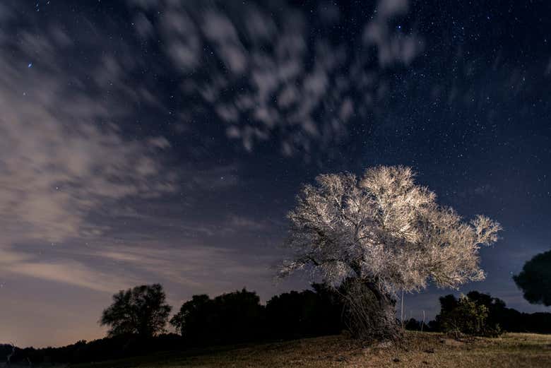 Desfrutando da rota noturna pela Serra de Grazalema