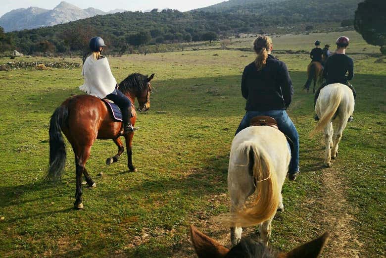 Trotando nos cavalos